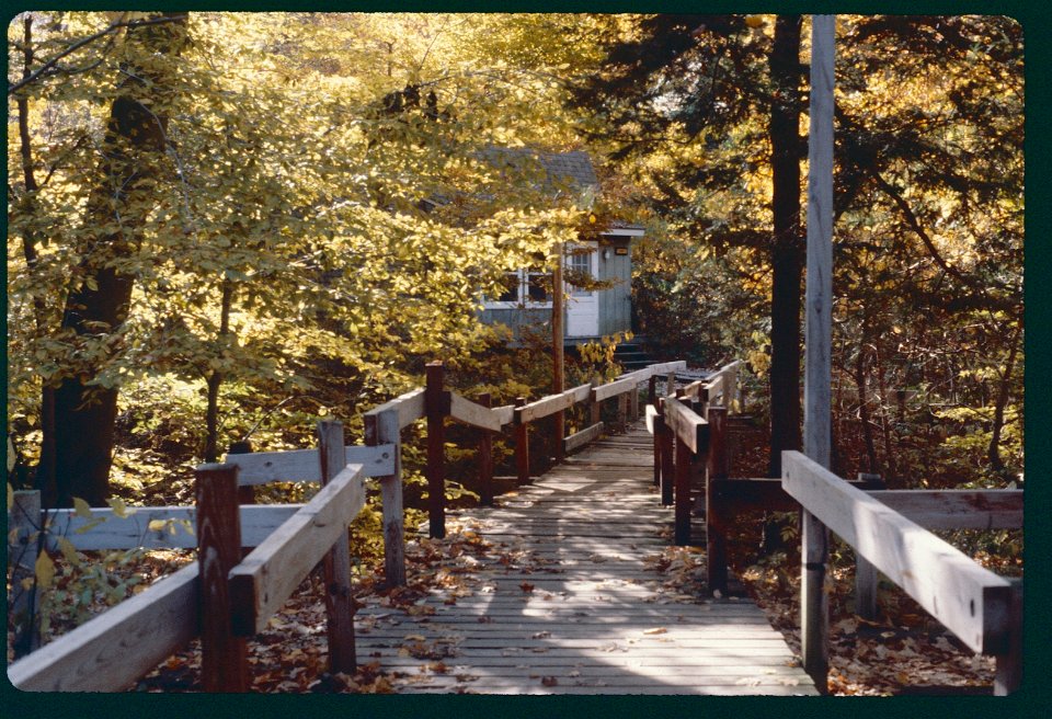 Cedar Cabin 1980